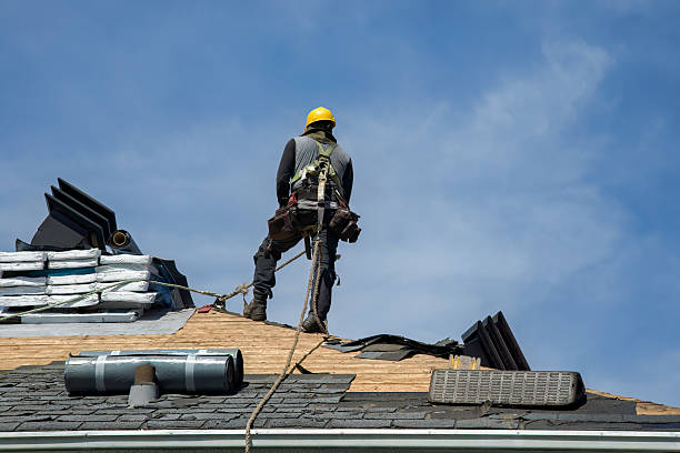 Professional Roof Replacement technician working in Canoga Park, CA